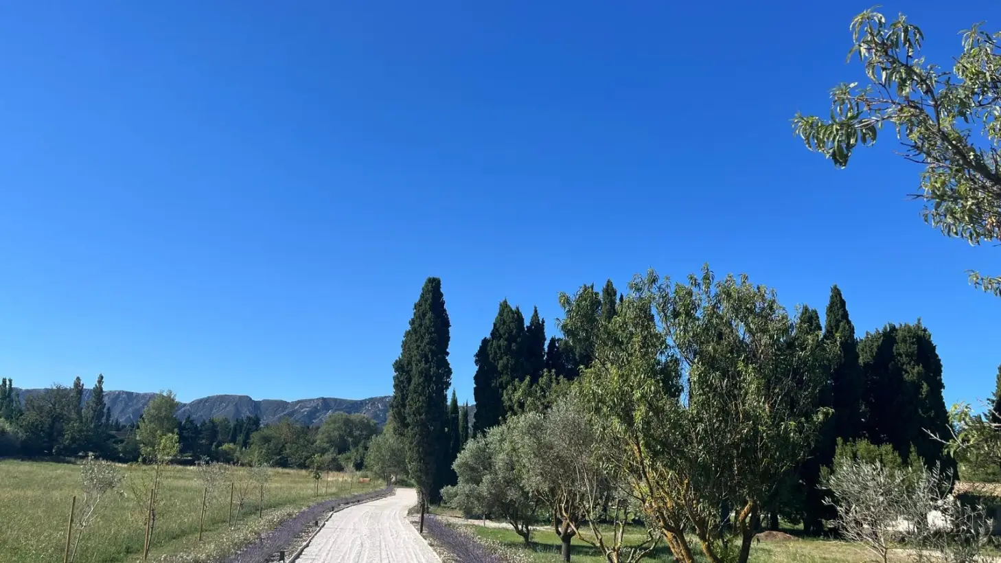 The Unic Collection Location Villa Luxe Aix En Provence Domaine2