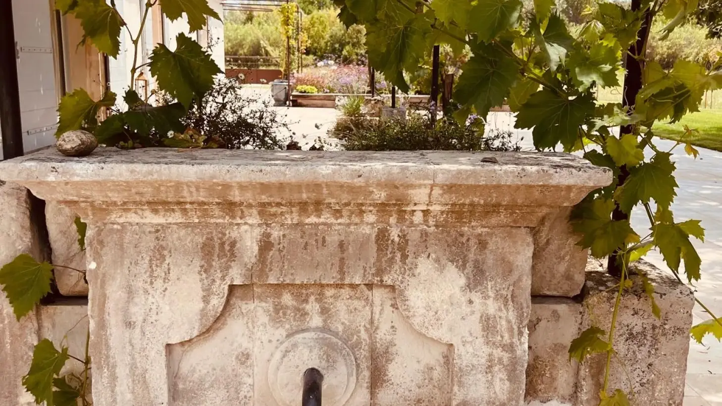 The Unic Collection Location Villa Luxe Aix En Provence Domaine4